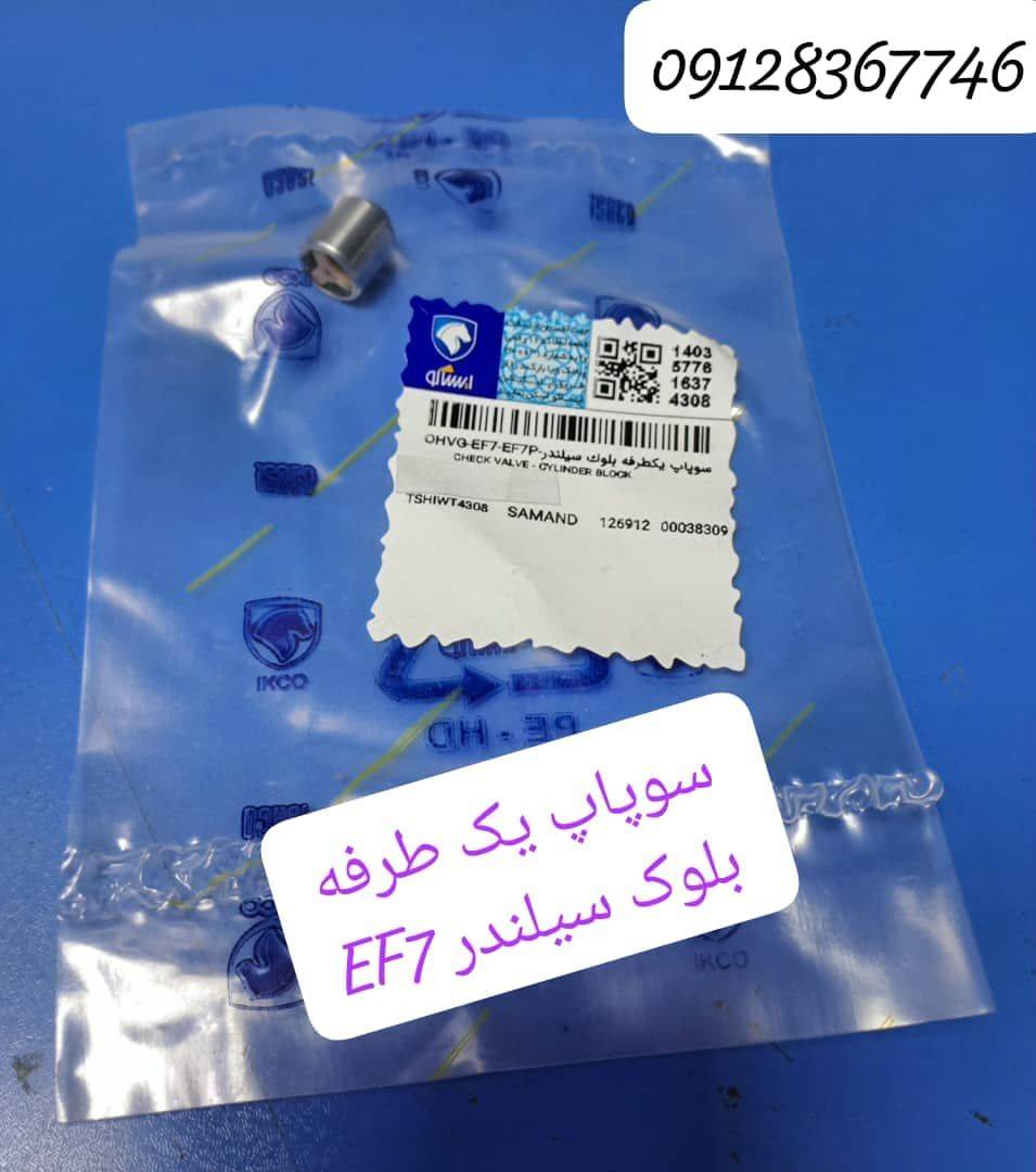 سوپاپ یک طرفه بلوک سیلندر EF7 - ایساکو