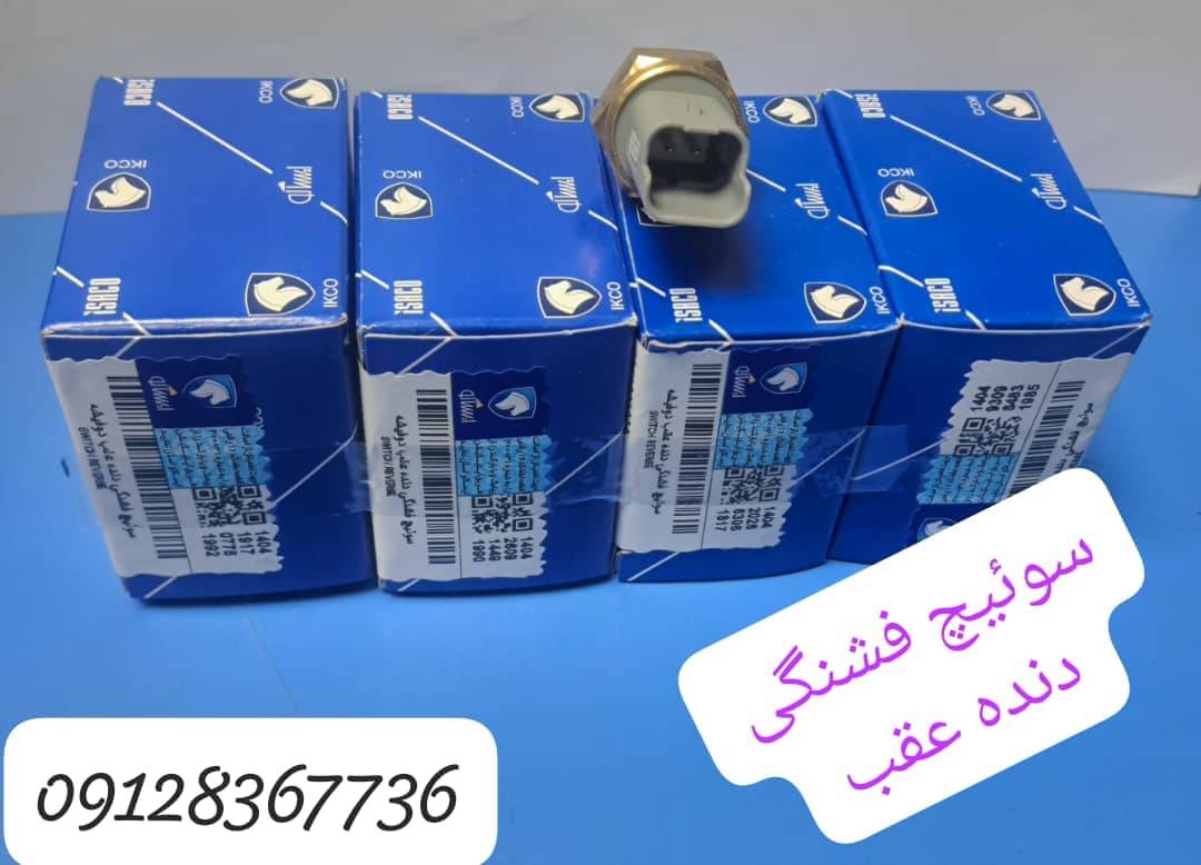 سوئیچ فشنگی دنده عقب دو فیشه 405